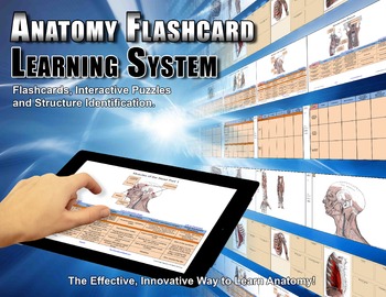 Preview of Anatomy Flashcard Learning System 1 year personal subscription