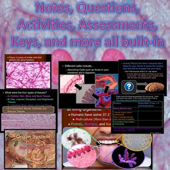 human body levels of organization cells tissues organs organ systems