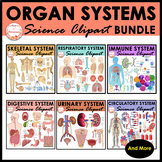 Anatomy Human Body Organ Systems Clipart Bundle | Realisti