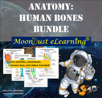 Preview of Anatomy: Human Bones - BUNDLE