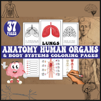 Preview of Anatomy Human Organs Body Coloring Pages | 1st to 5th Grade