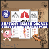 Anatomy Human Organs Body Coloring Pages | 1st to 5th Grade