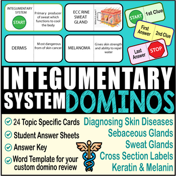 Preview of Anatomy INTEGUMENTARY SYSTEM ~DOMINO REVIEW~ 24 Cards + Answer Sheets + Key