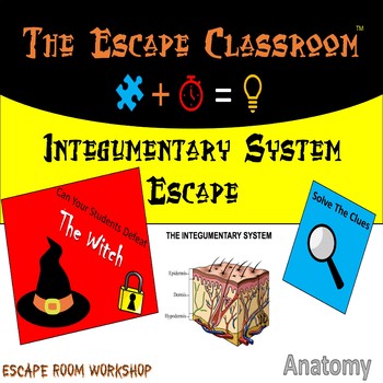 Preview of Anatomy: Integumentary System Escape Room | The Escape Classroom