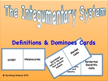 Preview of Anatomy: Integumentary System Vocabulary Domino Card Game
