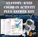 Anatomy: Knee Color-In ACTIVITY