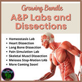 Anatomy Labs and Dissections BUNDLE- Digital and Print