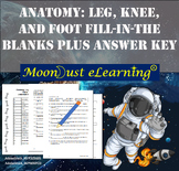 Anatomy: Leg, Knee, and Foot Bones - Fill-in-the-Blanks WORKSHEET