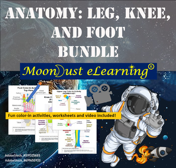 Preview of Anatomy: Leg, Knee, and Foot Bones - BUNDLE