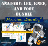 Anatomy: Leg, Knee, and Foot Bones - BUNDLE