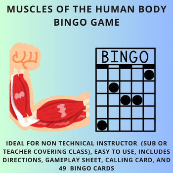 Preview of Anatomy Lesson Plans - Muscles of the Human Body BINGO Game  - HS/College/Tech