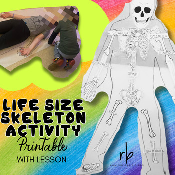 Preview of Anatomy - Life Size Skeleton Group Activity - Printables and Lesson