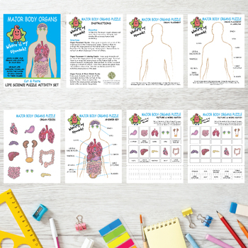 Anatomy Major Body Organs Cut and Paste Science Activity by Edmonston