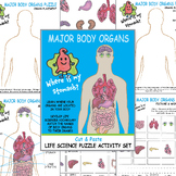 Anatomy Major Body Organs Cut and Paste Science Activity
