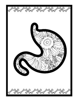 anatomy coloring book pages to print