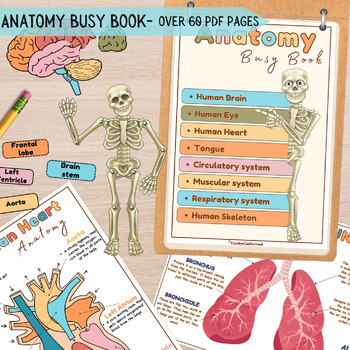 Preview of Anatomy Mega Bundle for Kids, Interactive Anatomy Busy Book, Learning Binder