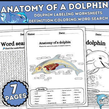 Anatomy Of A Dolphin-Dolphin Labeling Worksheets Definition,Coloring ...