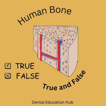 Preview of Anatomy & Oral Biology: Bone True and False Editable File