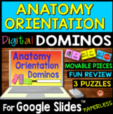 Anatomy Orientation DIGITAL DOMINOS for Google Slides