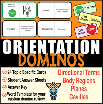 Preview of Anatomy Orientation ~DOMINO REVIEW~ 24 Cards + Answer Sheets + Key