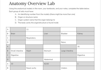 Preview of Anatomy Overview Lab // The Human Body // Anatomy & Physiology