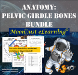 Anatomy: Pelvic Girdle Bones - BUNDLE