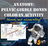 Anatomy: Pelvic Girdle Bones Color-In ACTIVITY