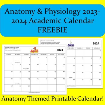Preview of Anatomy & Physiology 2023-2024 Academic Calendar Back to School  FREEBIE