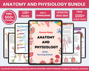 Preview of Anatomy & Physiology Bundle with Flashcards and Stickers | Anatomy Study Guide