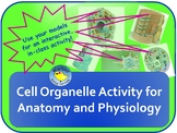 Cell Organelle Activity for Anatomy & Physiology