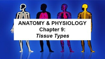 Preview of Anatomy & Physiology Ch 9: Tissue Types Guided Notes & PowerPoint
