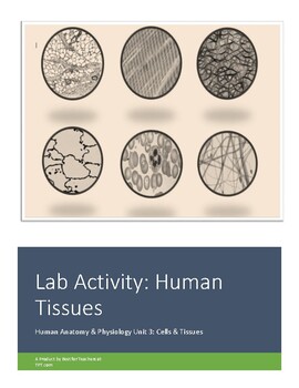 Preview of Anatomy & Physiology Lab Activity: Observing Body Tissues (Virtual Friendly)