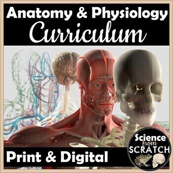 Preview of Anatomy and Physiology Full Year Curriculum