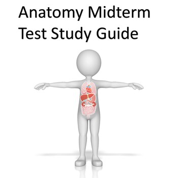 Preview of Anatomy & Physiology Midterm Test, Study Guide and Answer Key