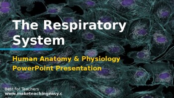 Preview of Anatomy & Physiology PowerPoint: The Respiratory System