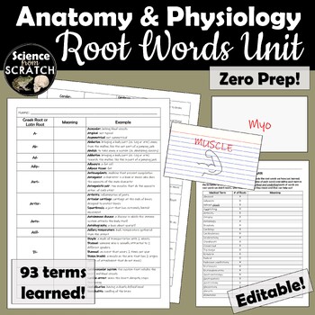 Epi Prefix Anatomy - Anatomy Drawing Diagram