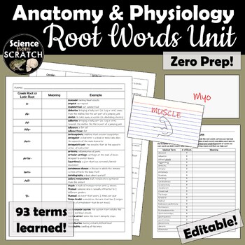 Preview of Anatomy & Physiology Root Words (Prefix/Suffix) Unit (perfect sub plans!)