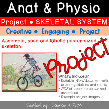 Preview of Anatomy & Physiology - (Skeletal System) BONES of the SKELTON PROJECT (Editable)
