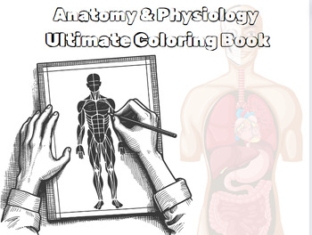 Preview of Anatomy & Physiology Ultimate Coloring Book