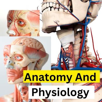 Preview of Anatomy and Physiology: Understanding the Structure & Function of the Human Body