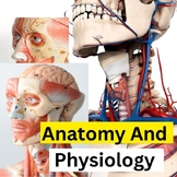 Anatomy and Physiology: Understanding the Structure & Func