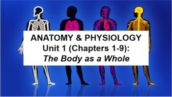 Preview of Anatomy & Physiology Unit 1 (Ch 1-9): The Body as a Whole Guided Notes & Ppts