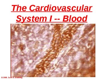 Preview of Anatomy & Physiology Unit 11 Lecture Notes:  Blood