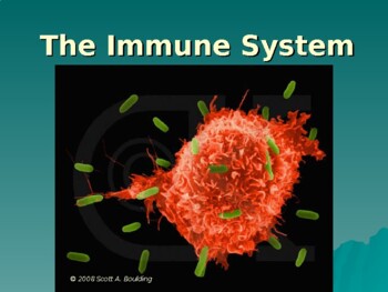 Preview of Anatomy & Physiology Unit 14 Lecture Notes:  Immunity