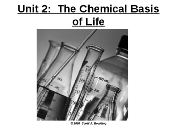 Preview of Anatomy & Physiology Unit 2 Lecture Slides:  The Chemical Basis of Life