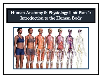 Preview of Anatomy & Physiology Unit Plan 1: Introduction to the Human Body (SIOP & Dif.)