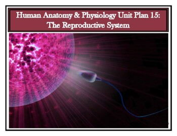 Preview of Anatomy & Physiology Unit Plan: The Reproductive System