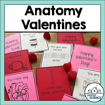 Preview of Anatomy Valentines for Biology or Anatomy and Physiology Class