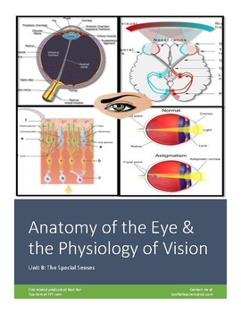 Preview of Anatomy & Physiology Worksheet 8.1: Anatomy of the Eye and Physiology of Vision