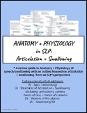 Anatomy + Physiology in SLP: Articulation + Swallowing